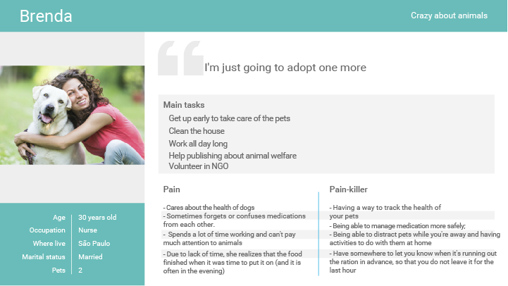 Persona card for Brenda, a pet owner who needs help tracking medication and care routines.